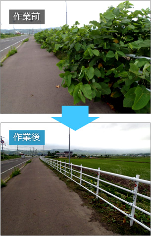 共和出張所管内 公共土木施設維持管理業務委託 除草