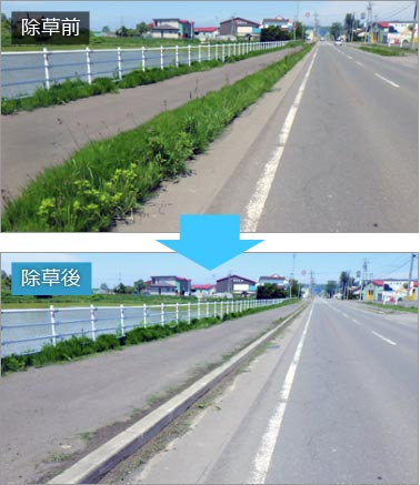 平成29年度 共和出張所管内 公共土木施設維持管理業務委託